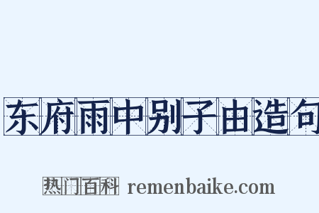 东府雨中别子由造句是什么意思的图片
